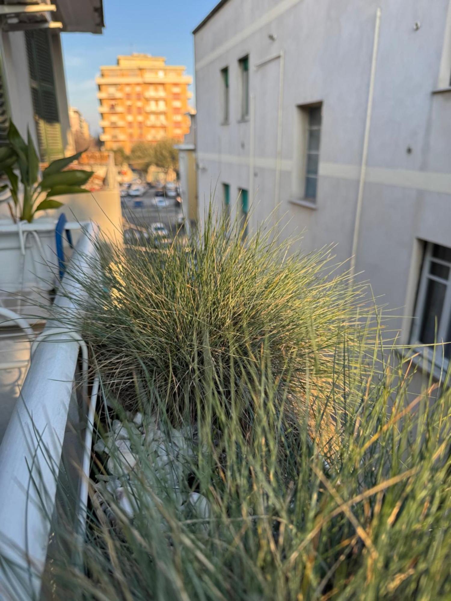 Okra Apartment Pescara Centro Buitenkant foto
